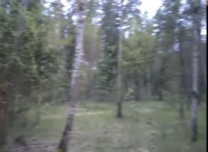 В лесу девушкав очках сосёт дружку половой член